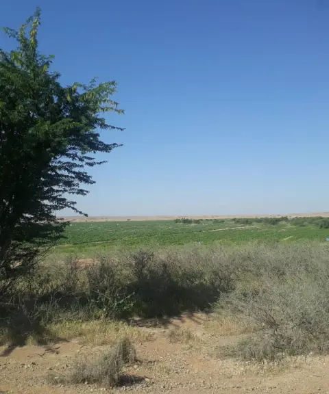 منطقه حفاظت شده میشداغ، خوزستان
