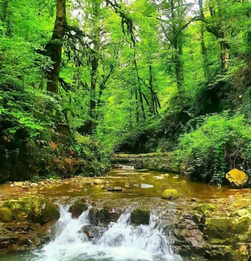 پارک ملی خشکه داران - تصویر 4