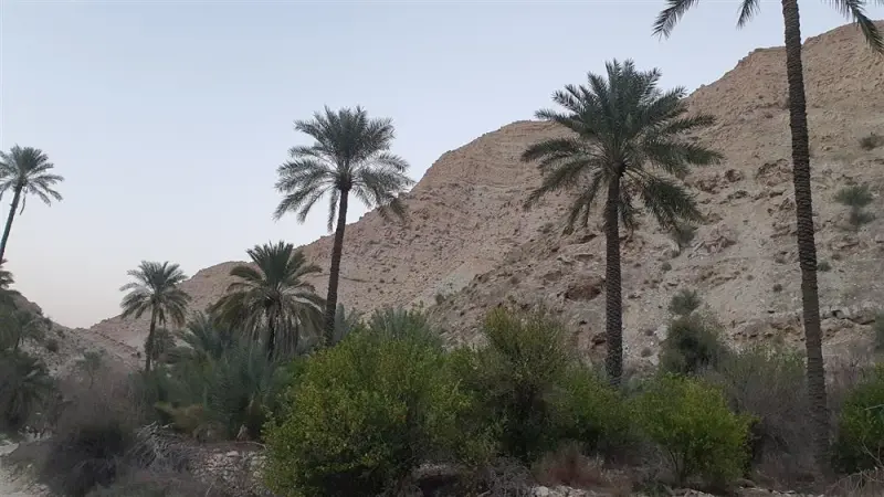 قله بیرمی - تصویر 3