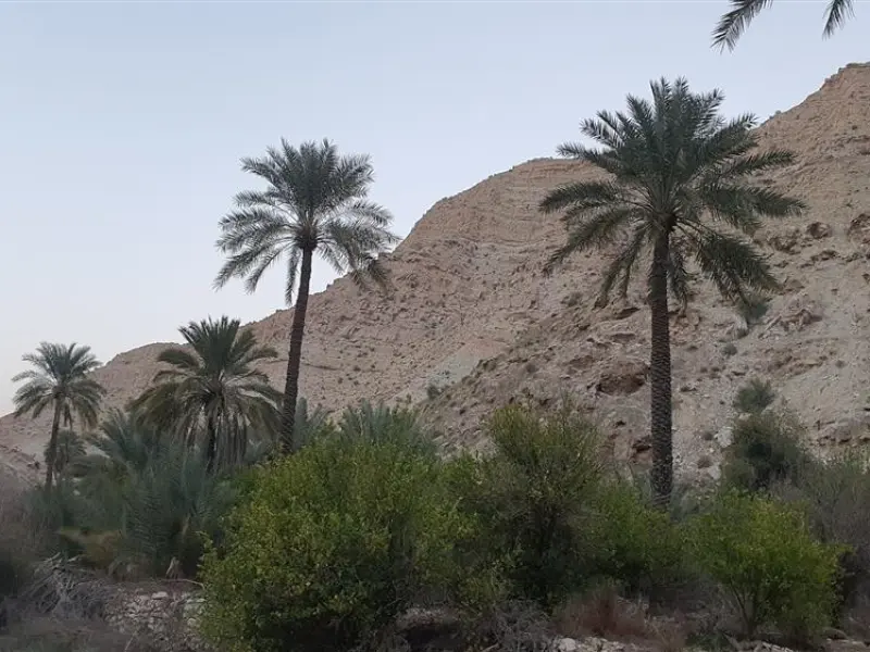 قله بیرمی - تصویر 3