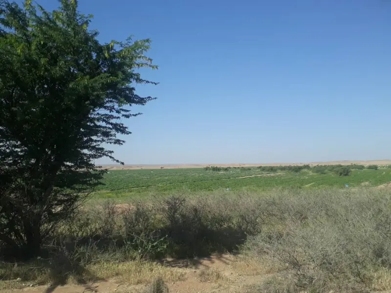 منطقه حفاظت شده میشداغ