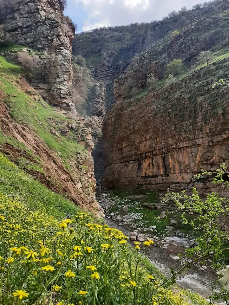 روستای دشه - تصویر 3