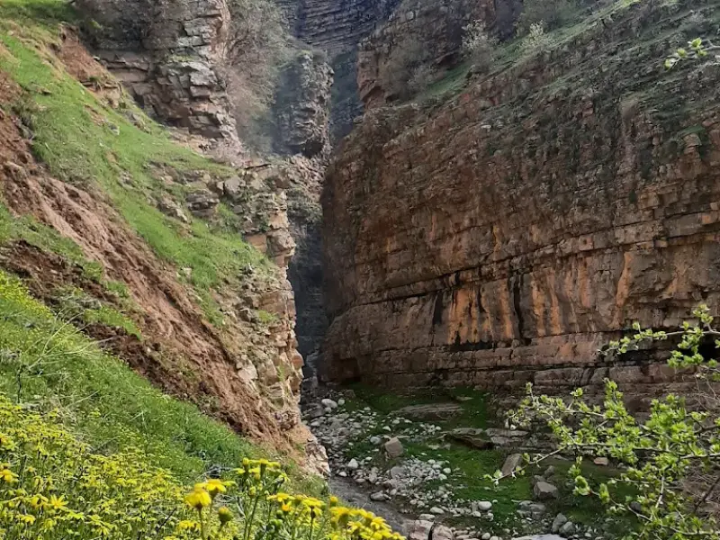 روستای دشه - تصویر 3