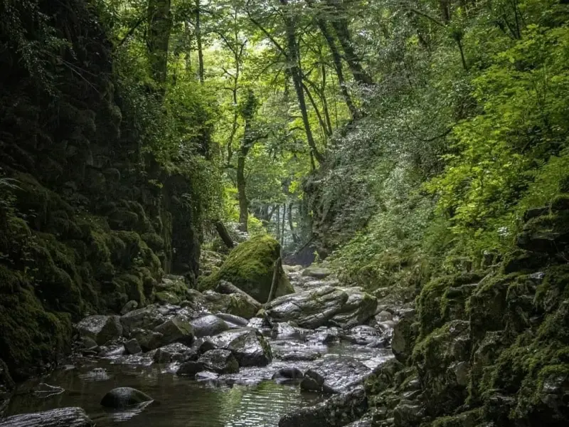 آبشار ماهی مشو