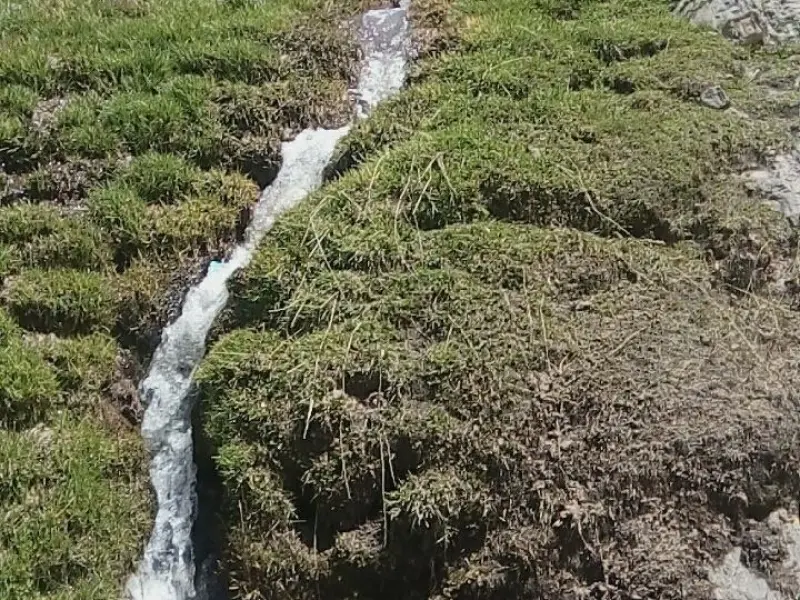 دشت ارشد چمن - تصویر 12