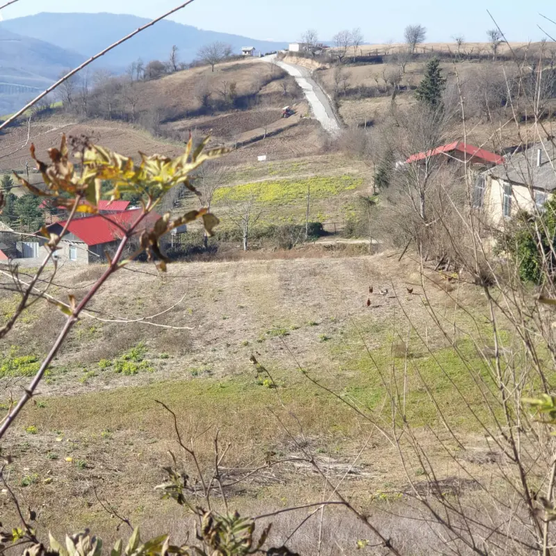 روستای سرکت - تصویر 2