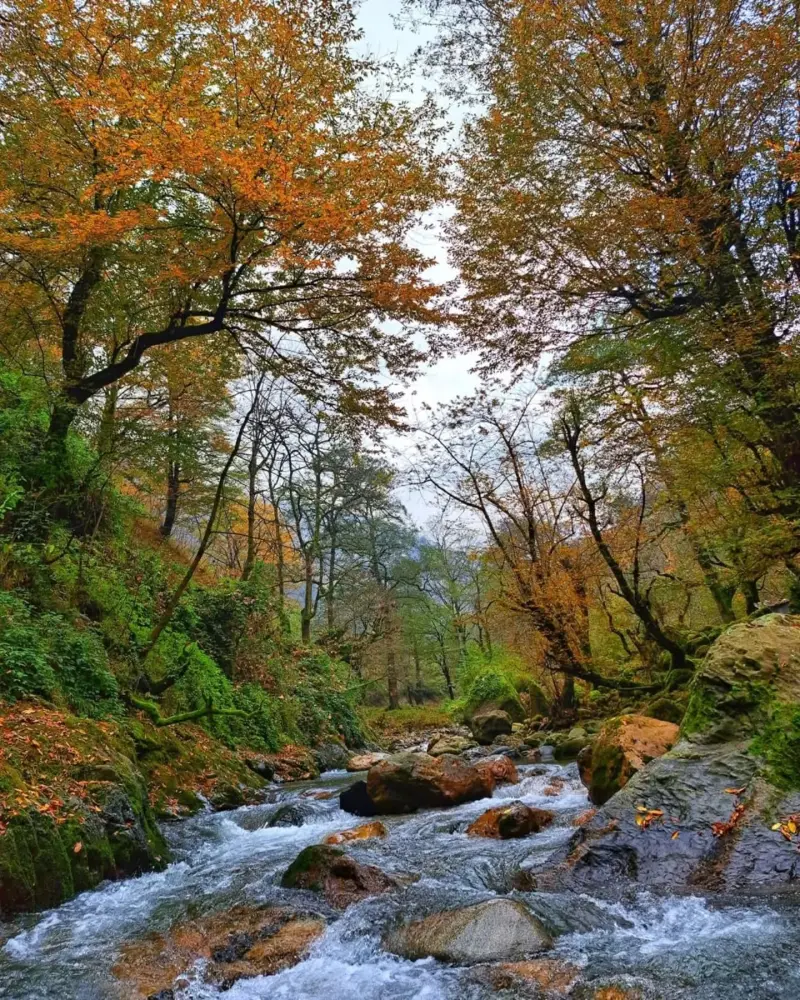 روستای فوشه - تصویر 9