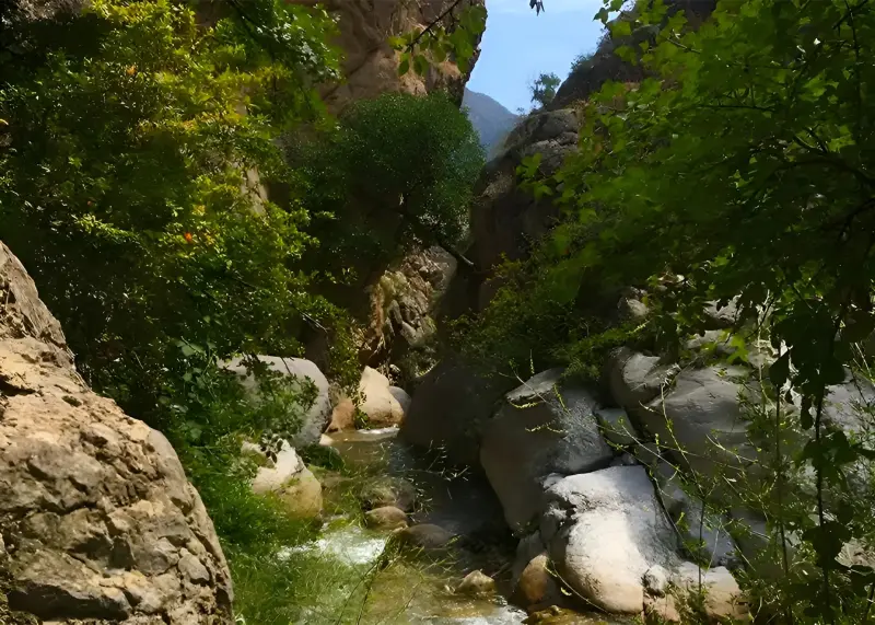 روستای فینسک - تصویر 3
