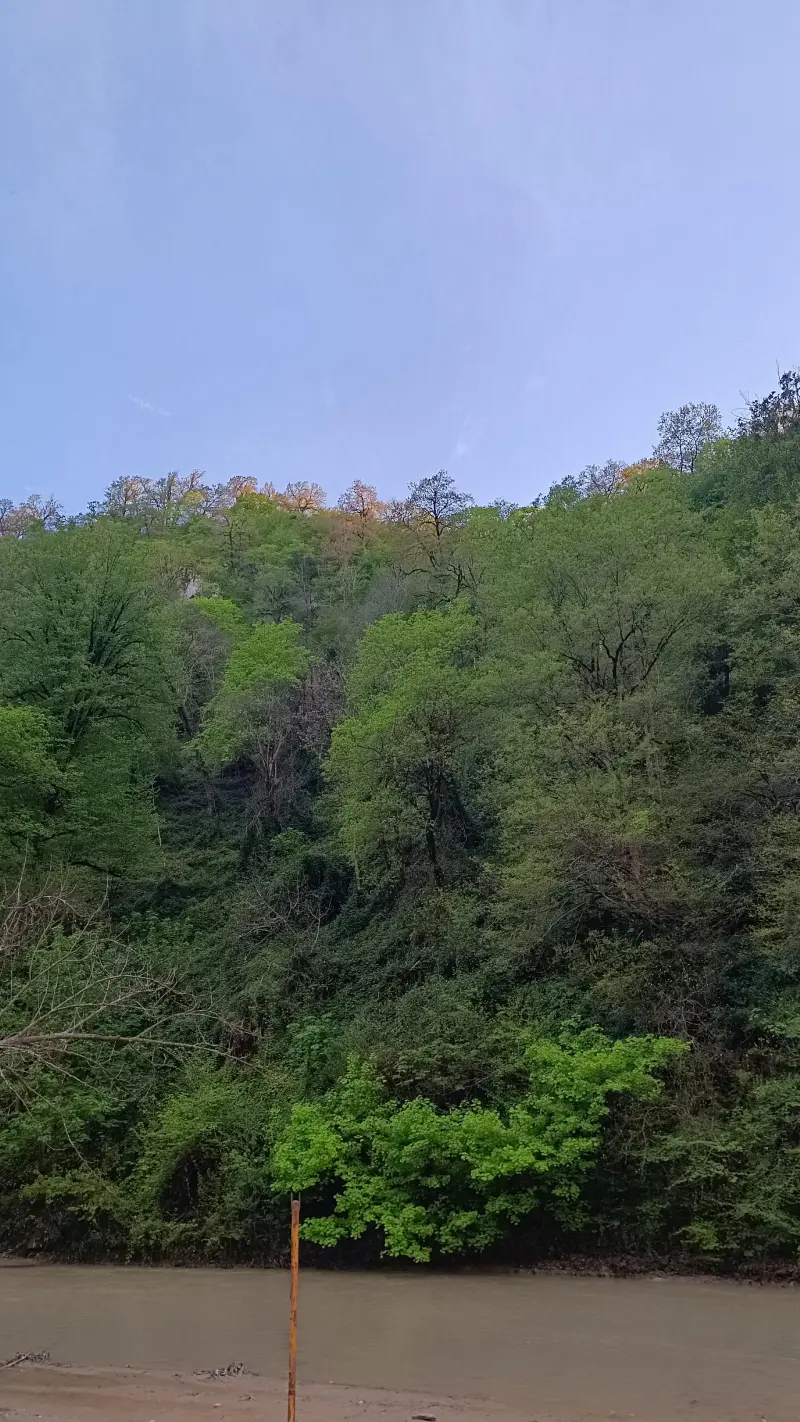 پارک جنگلی مهربان رود - تصویر 9