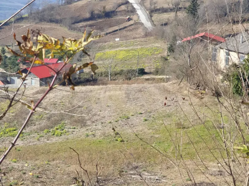 روستای سرکت - تصویر 2