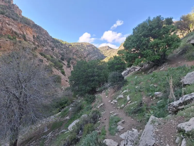 تنگ خانی - تصویر 8
