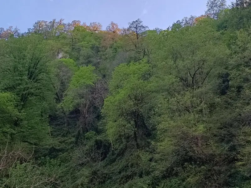 پارک جنگلی مهربان رود - تصویر 9