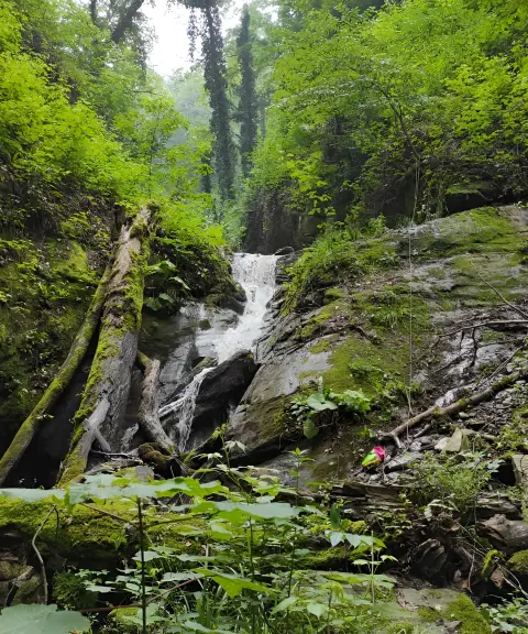 دره تیلسره، گلستان