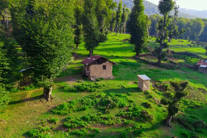 ییلاق سیاه دشت - تصویر 5