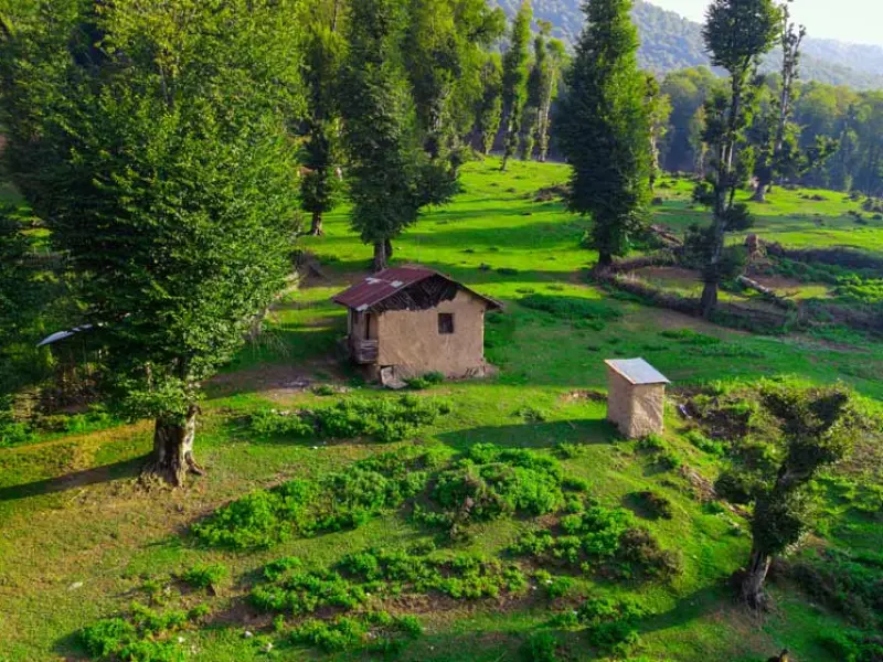 ییلاق سیاه دشت - تصویر 5