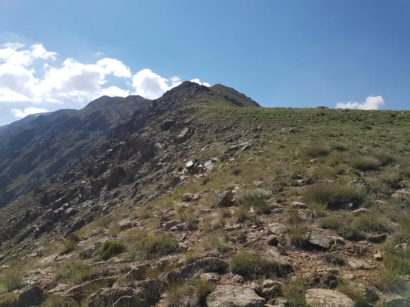 قله سکه نو - تصویر 7