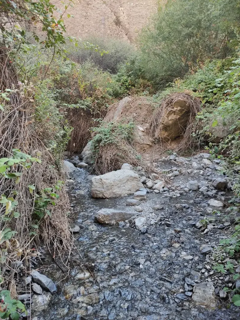 آبشار زاوین - تصویر 5