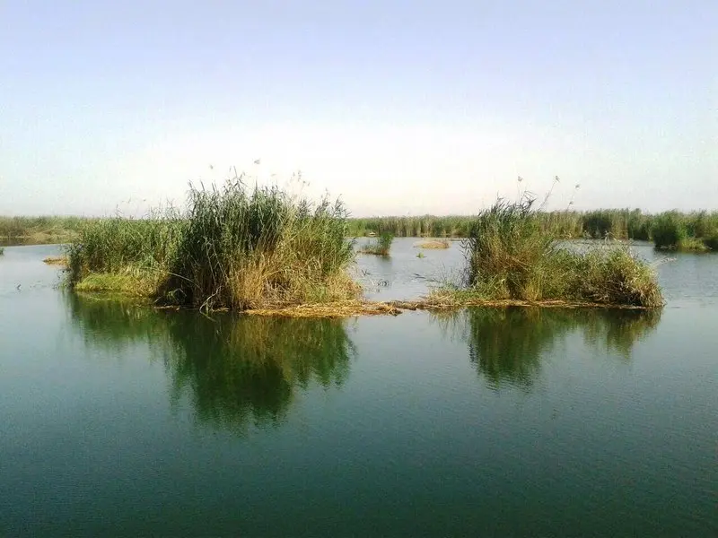 تالاب هورالعظیم - تصویر 7