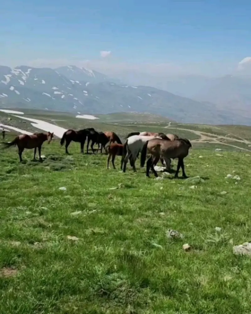 قله بزسینا - تصویر 15