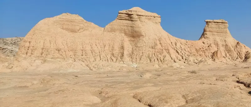 کلوت پودل - تصویر 2