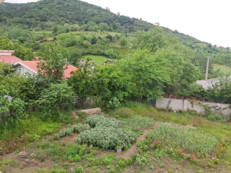 روستای اولم - تصویر 2