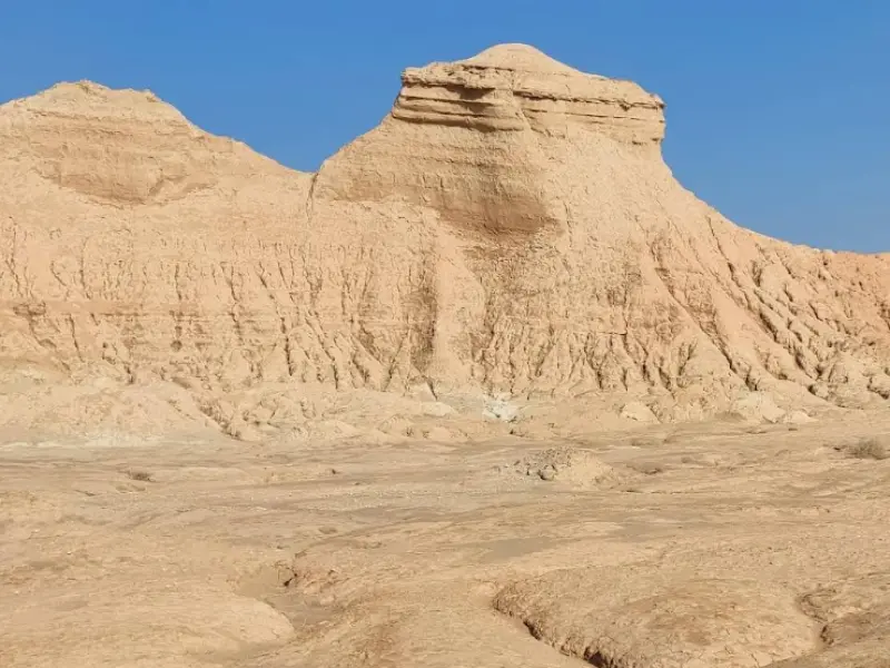 کلوت پودل - تصویر 2
