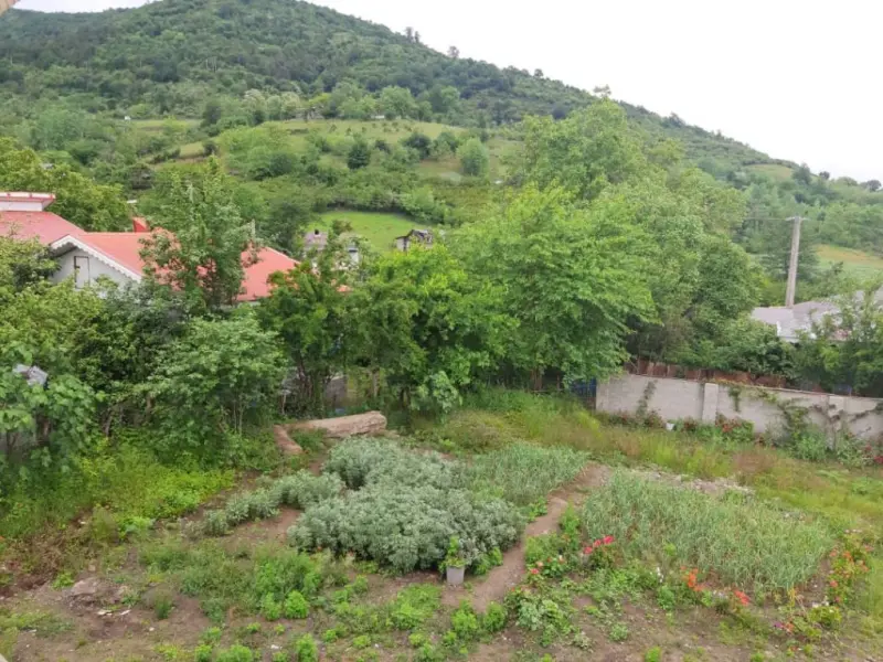 روستای اولم - تصویر 2