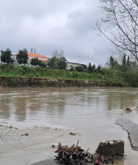 مرداب نشتارود، مازندران
