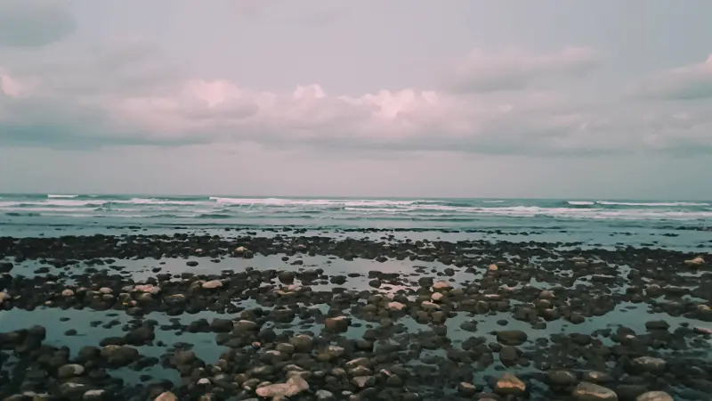 ساحل رادیو دریا - تصویر 2