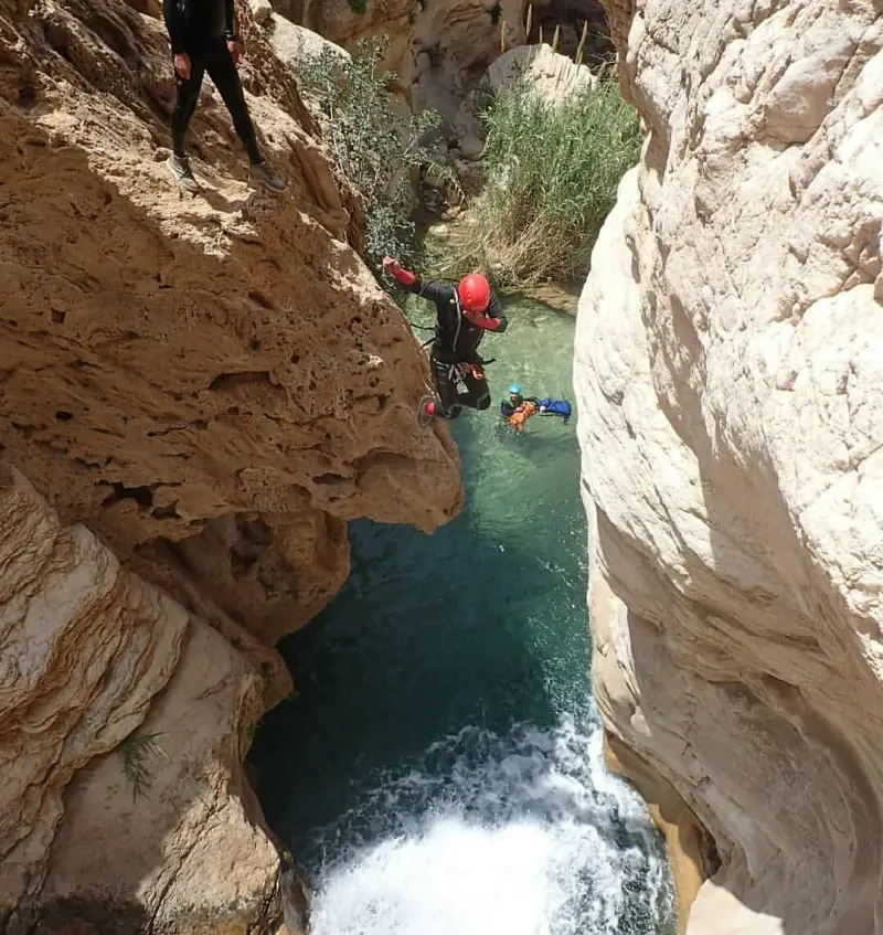 دره آکواریوم - تصویر 6