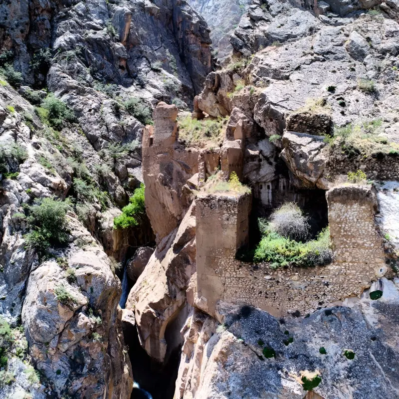 روستای شاهان دشت - تصویر 1