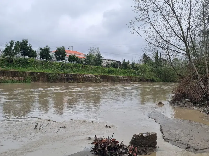 مرداب نشتارود