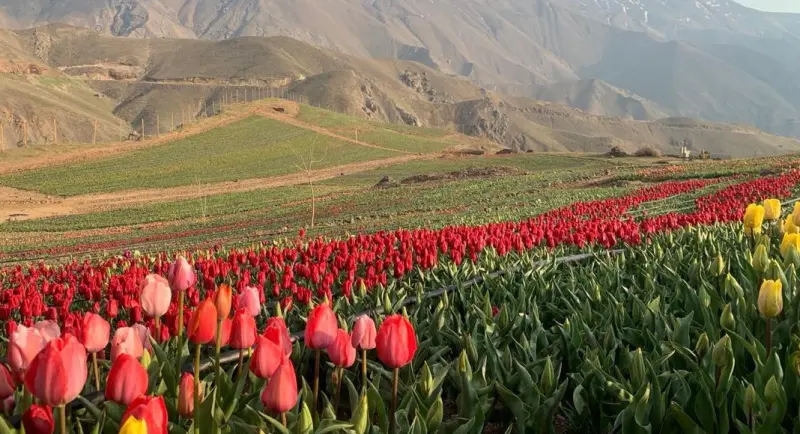 روستای کندر - تصویر 3