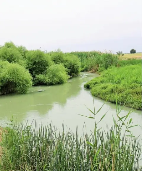 تالاب بامدژ، خوزستان