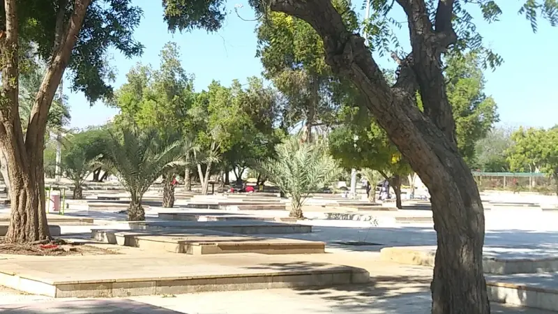 پارک جنگلی خلیج فارس - تصویر 4