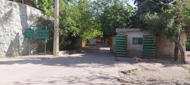 پارک جنگلی تلو - تصویر 4
