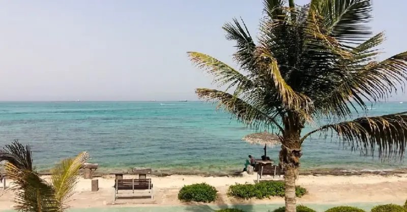 ساحل مرجان - تصویر 3