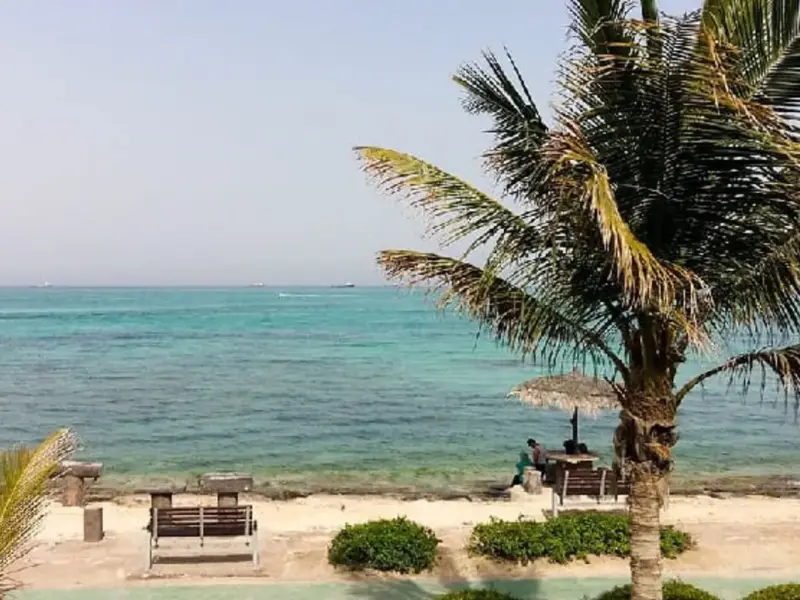 ساحل مرجان - تصویر 3
