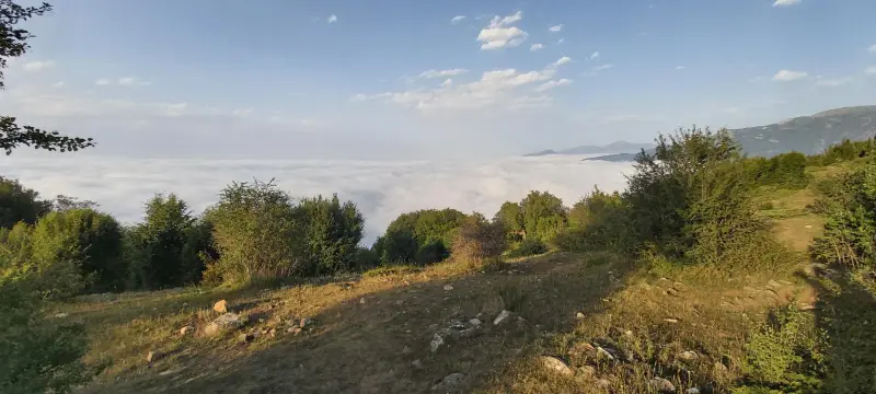 دشت سردانسر - تصویر 3