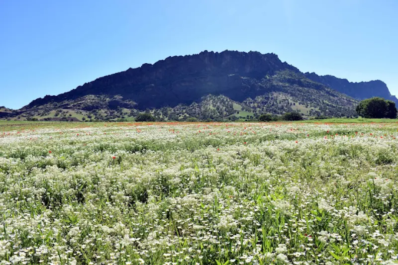 روستای سرمرغ - تصویر 1