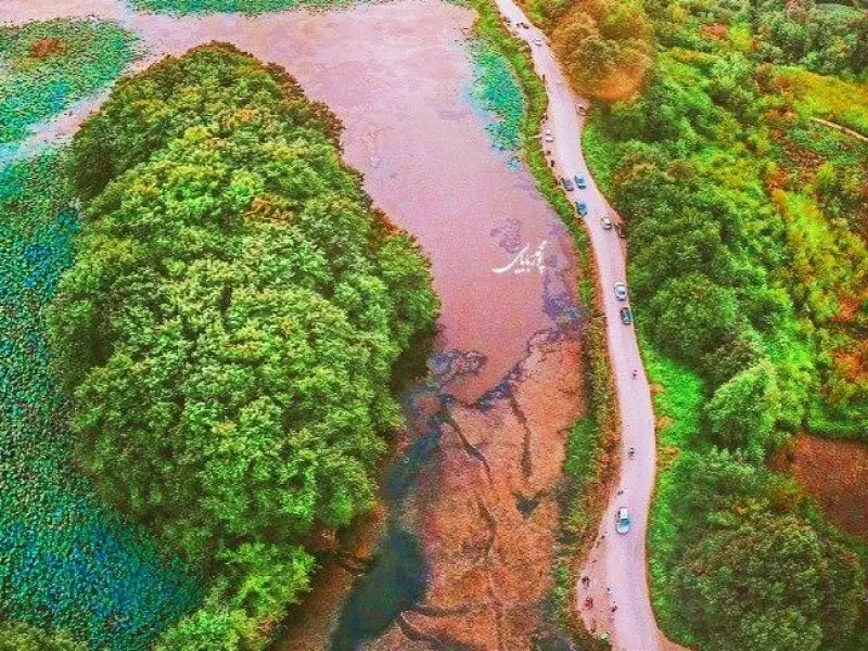 تالاب سوستان - تصویر 3