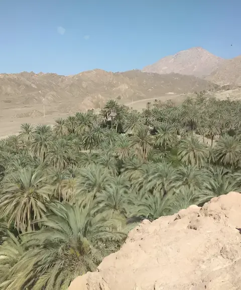 پناهگاه حیات وحش نایبندان، خراسان جنوبی