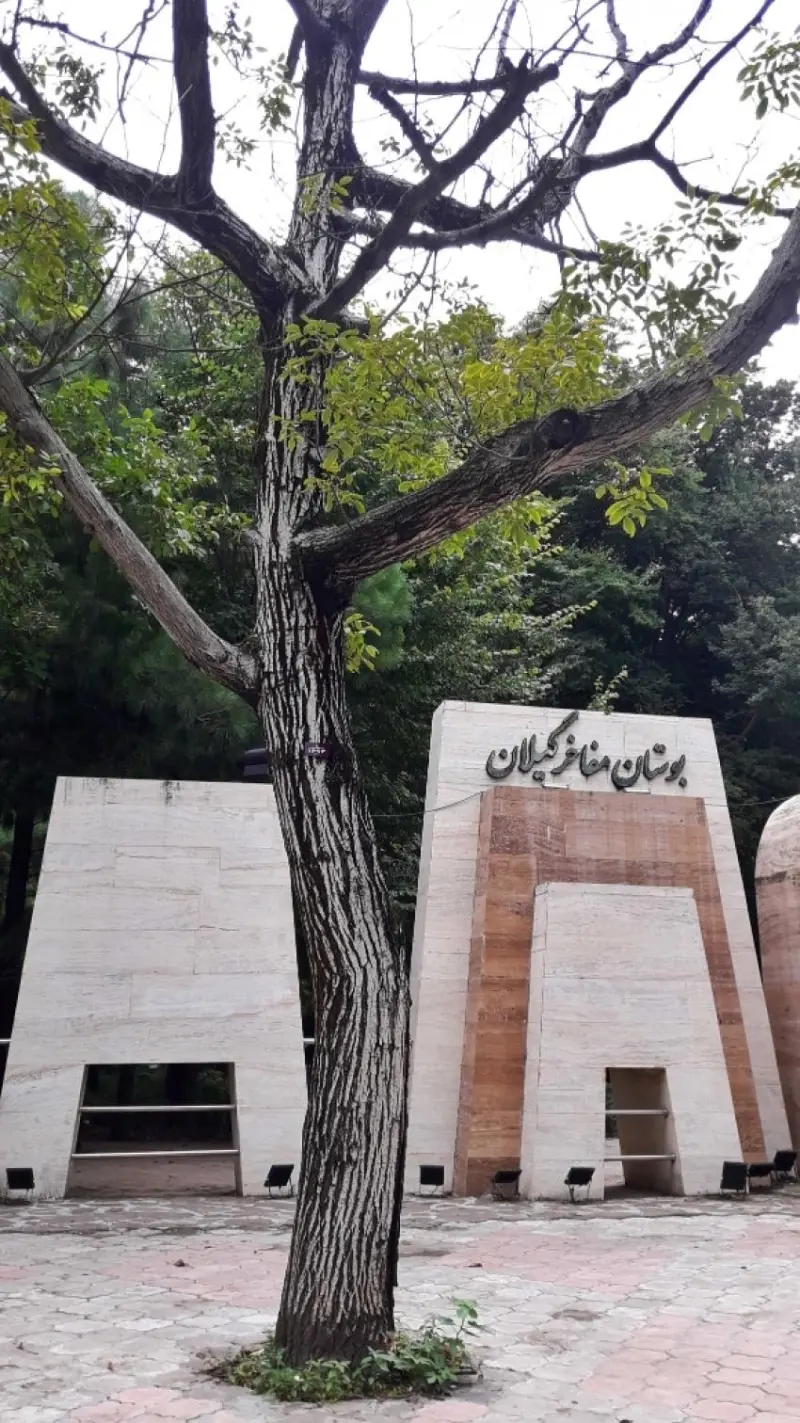 پارک مفاخر رشت - تصویر 13