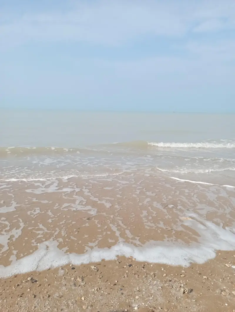 ساحل بربو - تصویر 4