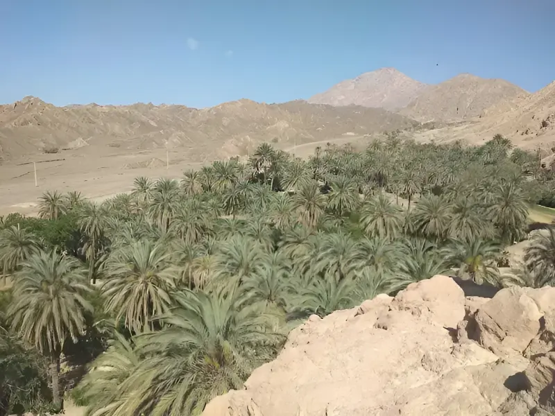 پناهگاه حیات وحش نایبندان
