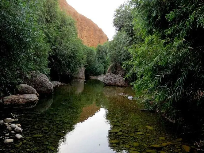 دره انار گتوند