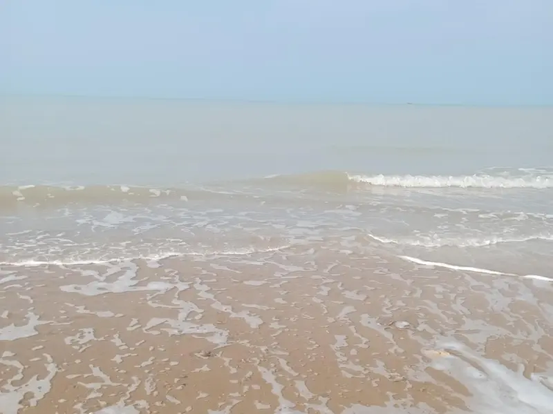 ساحل بربو - تصویر 4