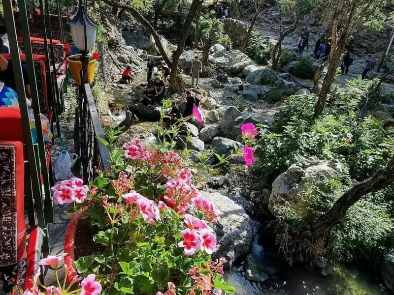 درکه - تصویر 3