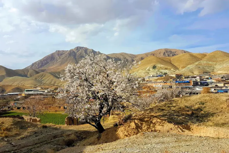 پارک ملی خجیر - تصویر 4
