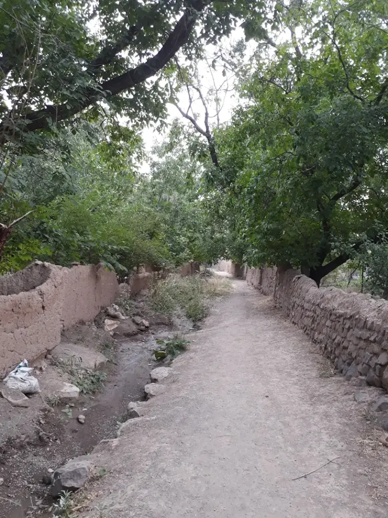 روستای قلعه بالا - تصویر 7